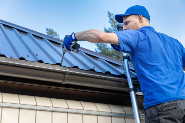 Best Asphalt Shingle Roofing  in Riverview, MI