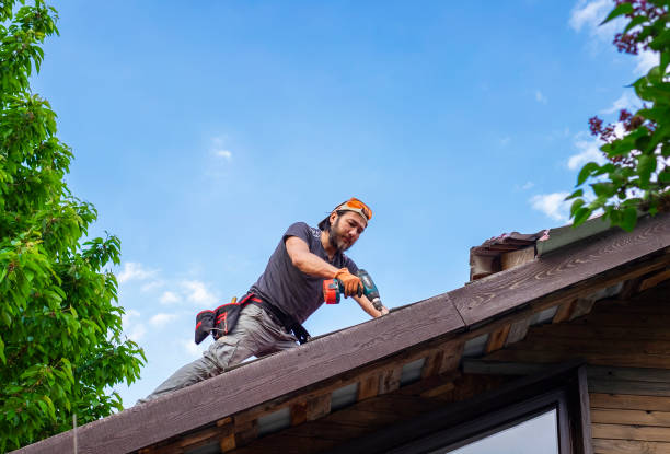 Best Hot Roofs  in Riverview, MI