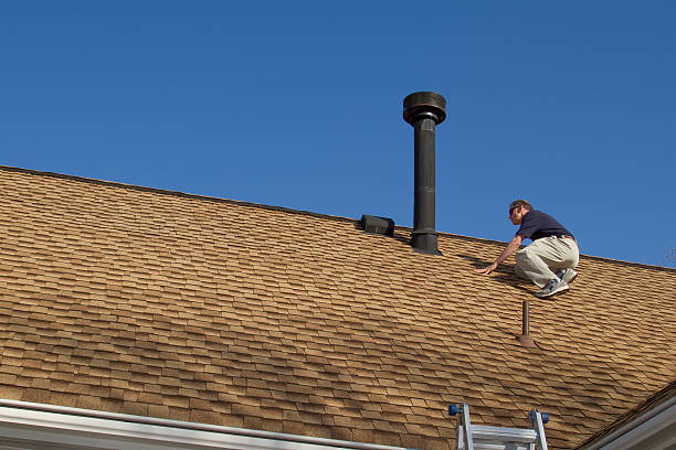 Best Solar Panel Roofing Installation  in Riverview, MI