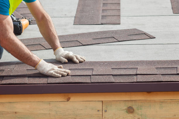 Best Rubber Roofing (EPDM, TPO)  in Riverview, MI