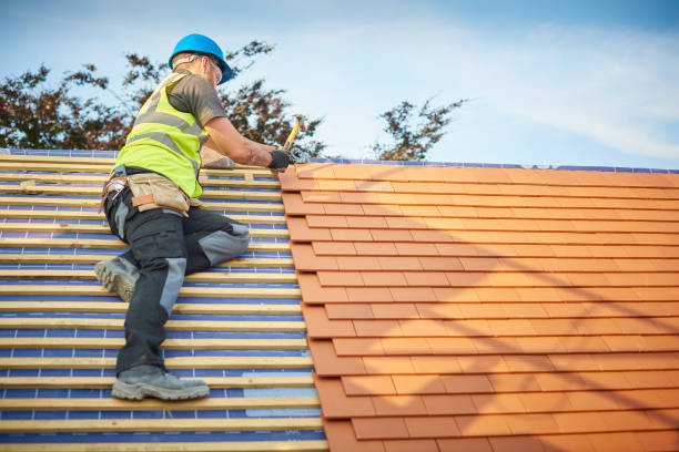 Best Roof Insulation Installation  in Riverview, MI